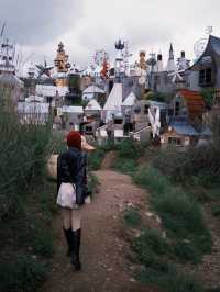 Lost in the Wilderness Kingdom!