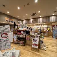 ♨️ Our First Soak in Tohoku – A Warm Welcome at Manekinoyu