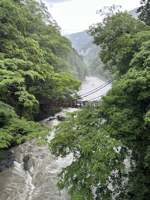 Off the beaten path - 1 week in Shikoku