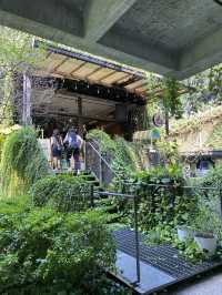 Lost in Aesthetic Jungle: My Soft-Urban Escape at Tamarind Square, Cyberjaya