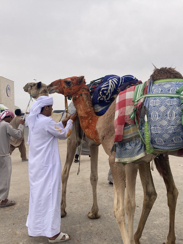 Doha 1 Day Itinerary
