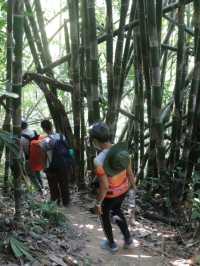 อุทยานแห่งชาติคลองพนม จ. สุราษฎร์ธานี 