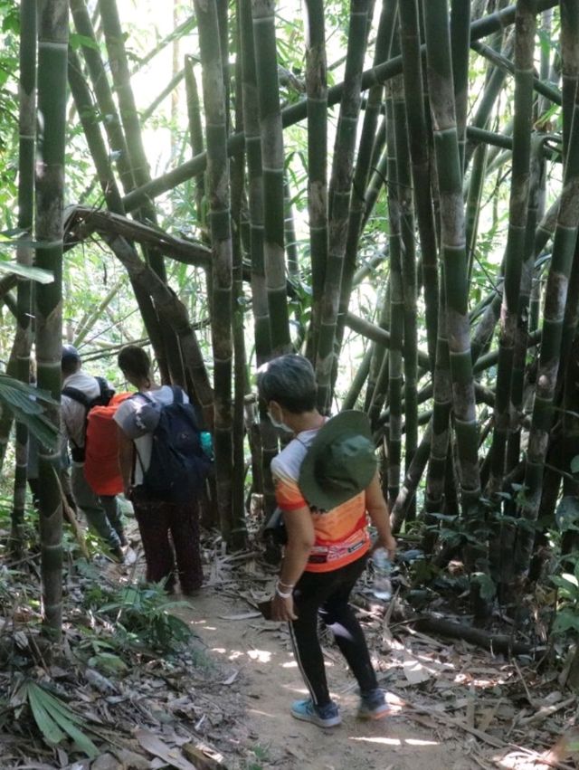 อุทยานแห่งชาติคลองพนม จ. สุราษฎร์ธานี 