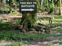 Monfort Bat Sanctuary, Samal Island