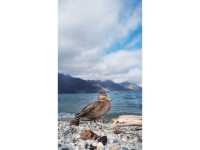 Mountains, Lakes &… Bras? A Quirky Road Trip in Queenstown