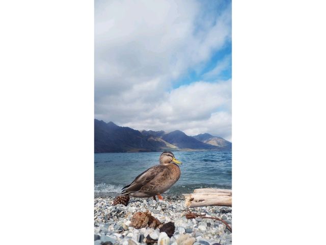 Mountains, Lakes &… Bras? A Quirky Road Trip in Queenstown