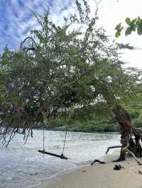 เที่ยวชลบุรี  เกาะล้าน
