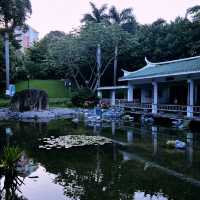 🏞️ "Zhangshan Park: Xiamen’s Green Oasis of History & Relaxation!