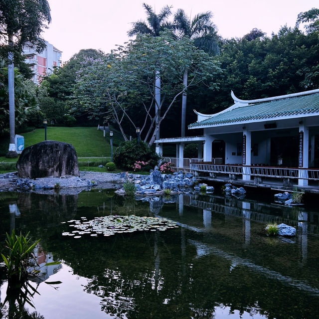 🏞️ "Zhangshan Park: Xiamen’s Green Oasis of History & Relaxation!