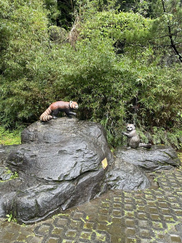 ｜台灣｜台北市立動物園-動物世界探險