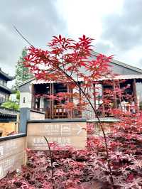 ตลาดน้ำใกล้เซี่ยงไฮ้ 🛶 — Zhujiajiao Water Town