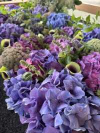 【北九州観光】月に2回入れ替わる花手水に癒される❁⃘