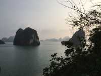 🚢🌿 Sailing Through a Dream: My Halong Bay Cruise Experience