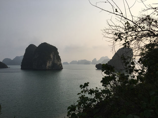 🚢🌿 Sailing Through a Dream: My Halong Bay Cruise Experience