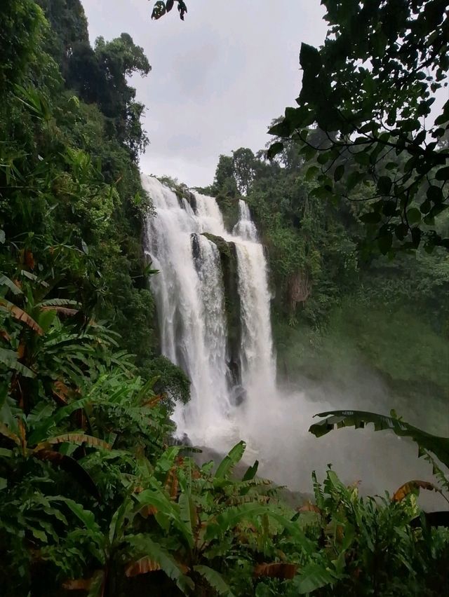 ทริปนี้ที่ลาวใต้ zipline Tad fane waterfall.
