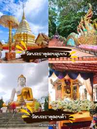 เชียงใหม่ ไปแอ่วละเน้อ