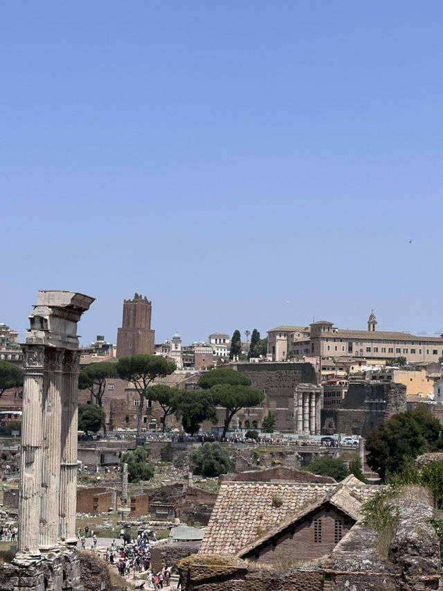 Roman Forum & Palatine Hill – Walk Through the Heart of Ancient Rome