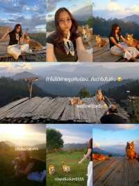 ที่..กลึ มี แคมป์ปิ้ง⛰️🌧️ วิวเชียงดาว🥹🫶🏻