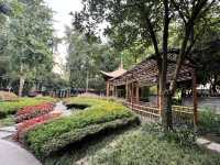 🌿☀️ Slow down and soak up the vibes at Chengdu People’s Park 人民公园