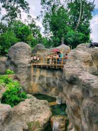 🌳🐒 “Step into the Wild!” – Asian Rainforest Adventure Singapore 