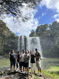 紐西蘭旅遊景點—💦 Whangārei Falls｜北島最優雅的瀑布散步路線