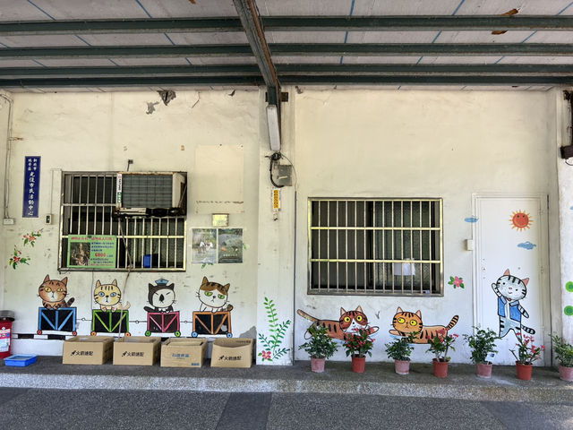 瑞芳侯硐貓村 新北知名景點