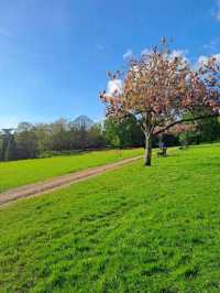 Royal Victoria Park