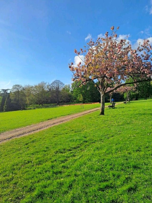Royal Victoria Park