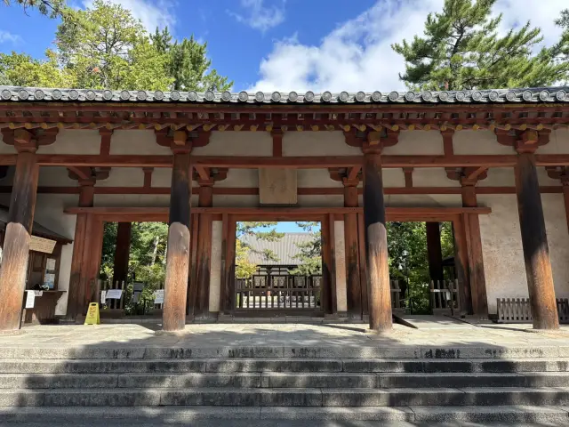 唐招提寺：探索奈良的佛教瑰寶，感受千年文化的深厚底蘊！