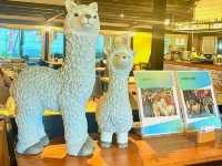 David & Alpaca Café: Coffee, Cuddles and Cuties in Taipei