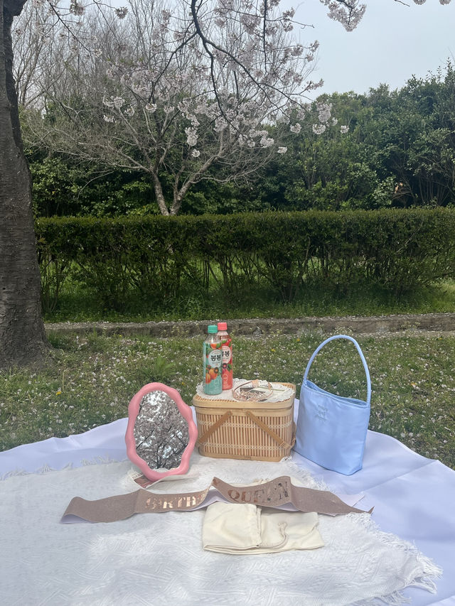 벚꽃 피크닉 🌸 부산 을숙도생태공원에서 여유로운 봄날 보내기