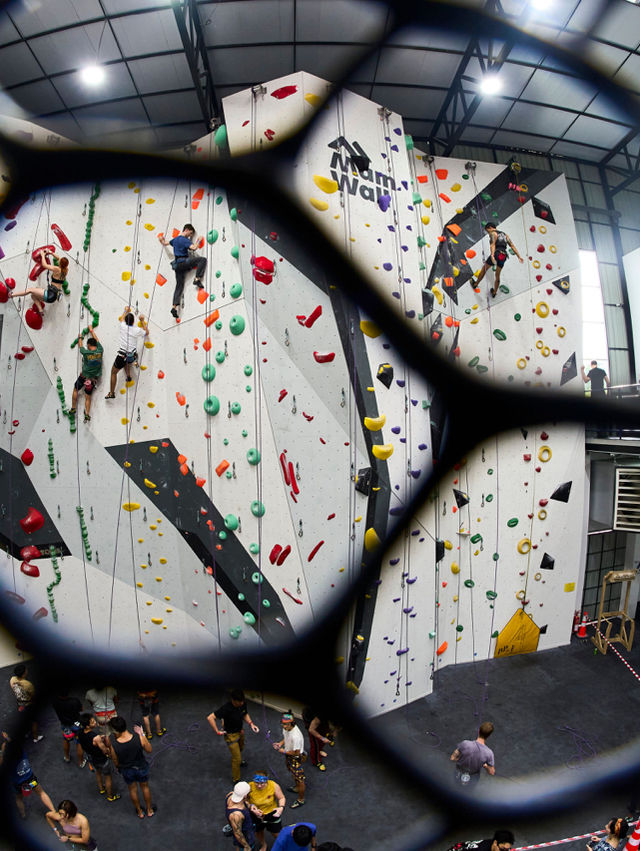 Discover an indoor climbing at Main Wall! Located in Chiang Mai’s old town🧗‍♂️🌿  