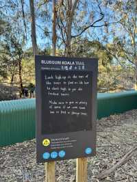 Koala Conservation Reserve