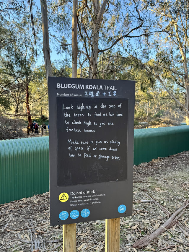 Koala Conservation Reserve
