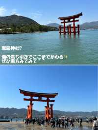 【広島】日本三景の一つの宮島で食と自然を堪能♡