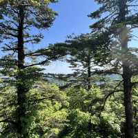 🏔️ Everything You Need to Know About Visiting Mount Emei 峨眉山 – Don’t Go Without Reading This First