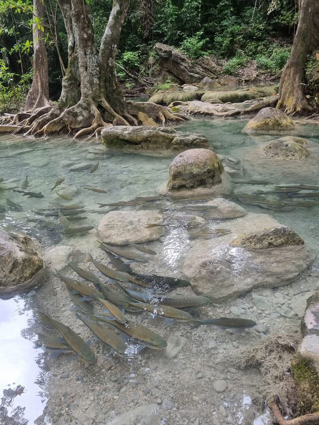อุทยานแห่งชาติน้ำตกเอราวัณ