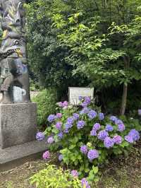 สวนอุเอโนะ (Ueno Park)