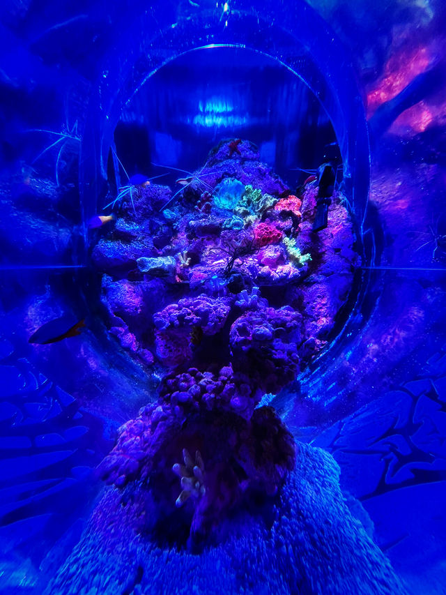 Coastal Currents & Wrecked Wonders at Aquaria KLCC