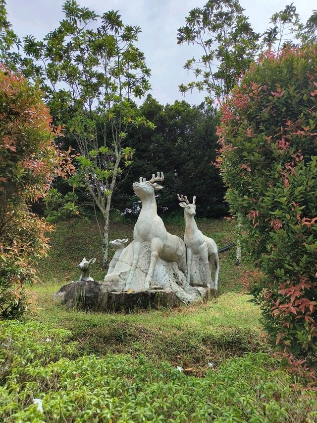 A Peaceful Escape at Kek Lok Si Temple in Penang