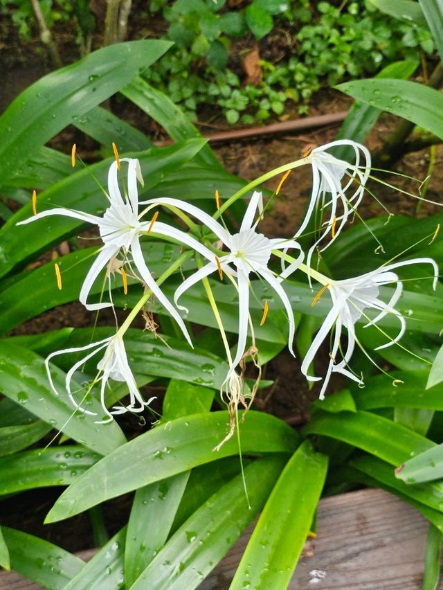 Skyline Chill & Art Thrills at Ng Teng Fong Roof Garden