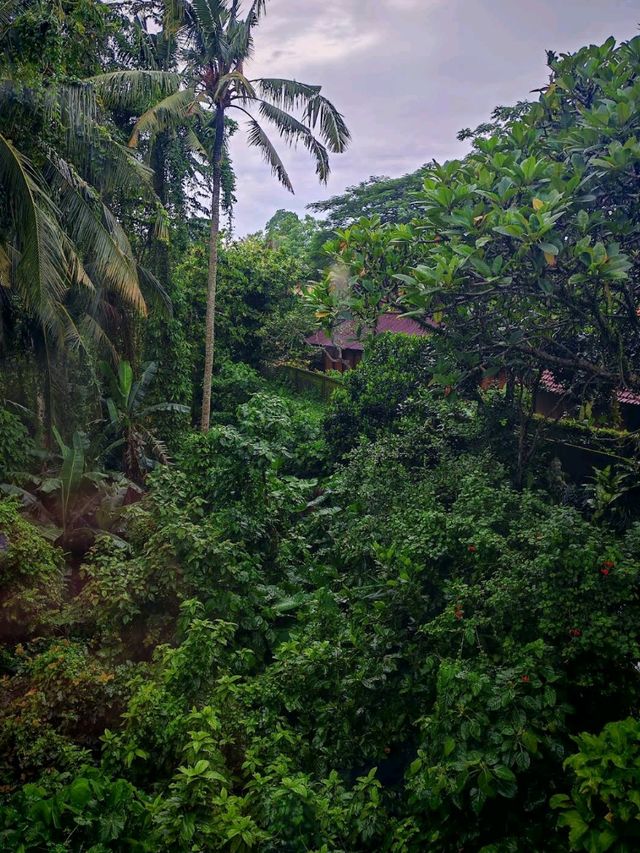 Alam Shanti, Ubud