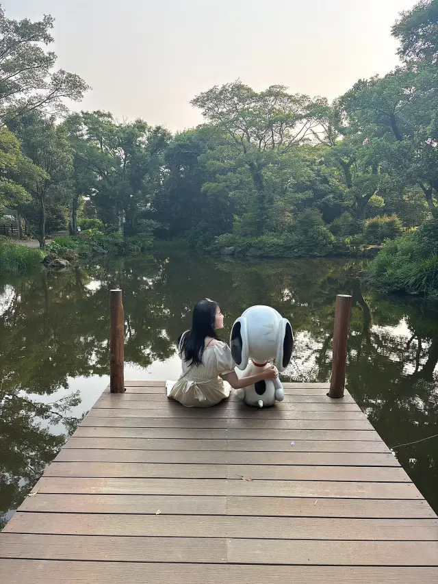 濟州島的スヌーピー花園戶外篇