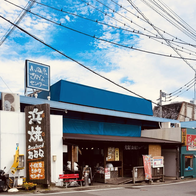 Odawara Harbor: A Solo Traveler’s Salt-Kissed Escape Under the Castle Walls"** 🏯🌊