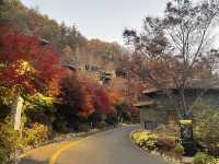 제천 리솜 포레스트
