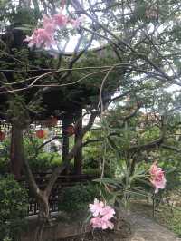 【沖縄　那覇市　南風原町　泊港からのミニマムトラベル】
