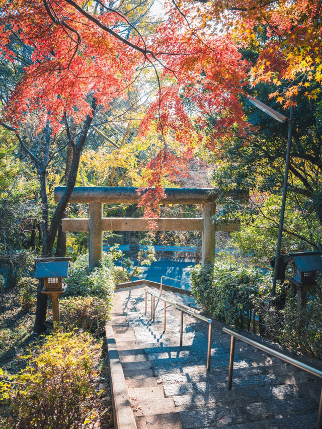 จุดชมวิวลับในโอซาก้าที่คนไม่ค่อยรู้จัก⛰️