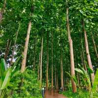 🌿 TATA Chiang Dao Cafe, Restaurant & Farm 