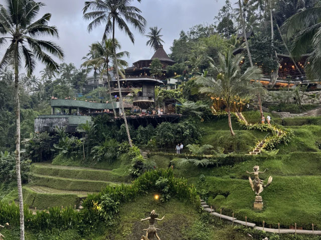 Alas Harum & Tegallalang Rice Terraces: Ubud's Iconic Beauty! 🌾✨
