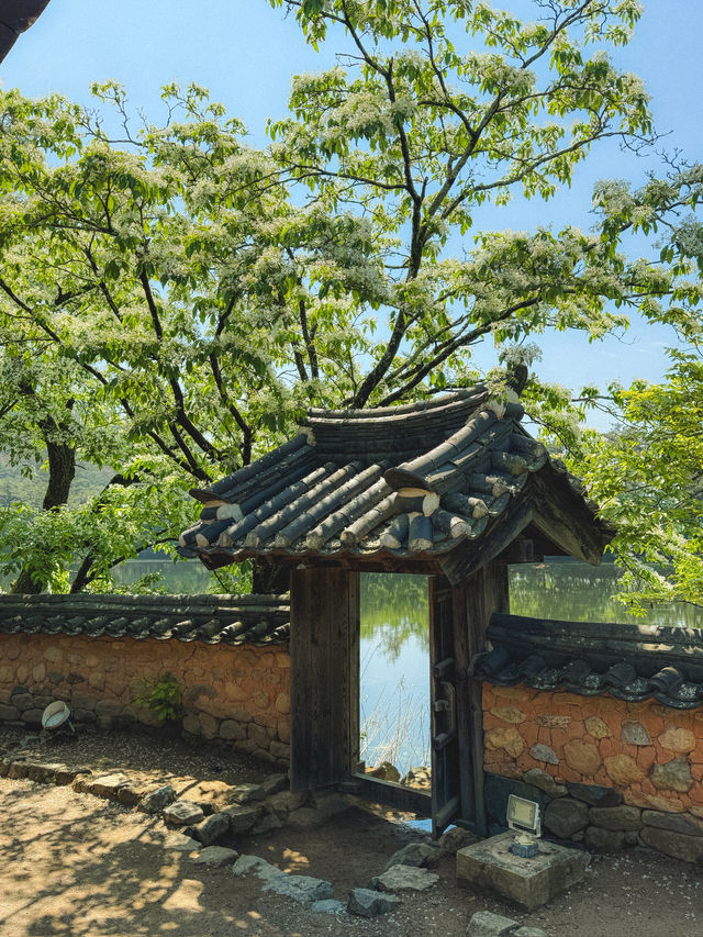 5월만 되면 신비로워지는 한국의 명소